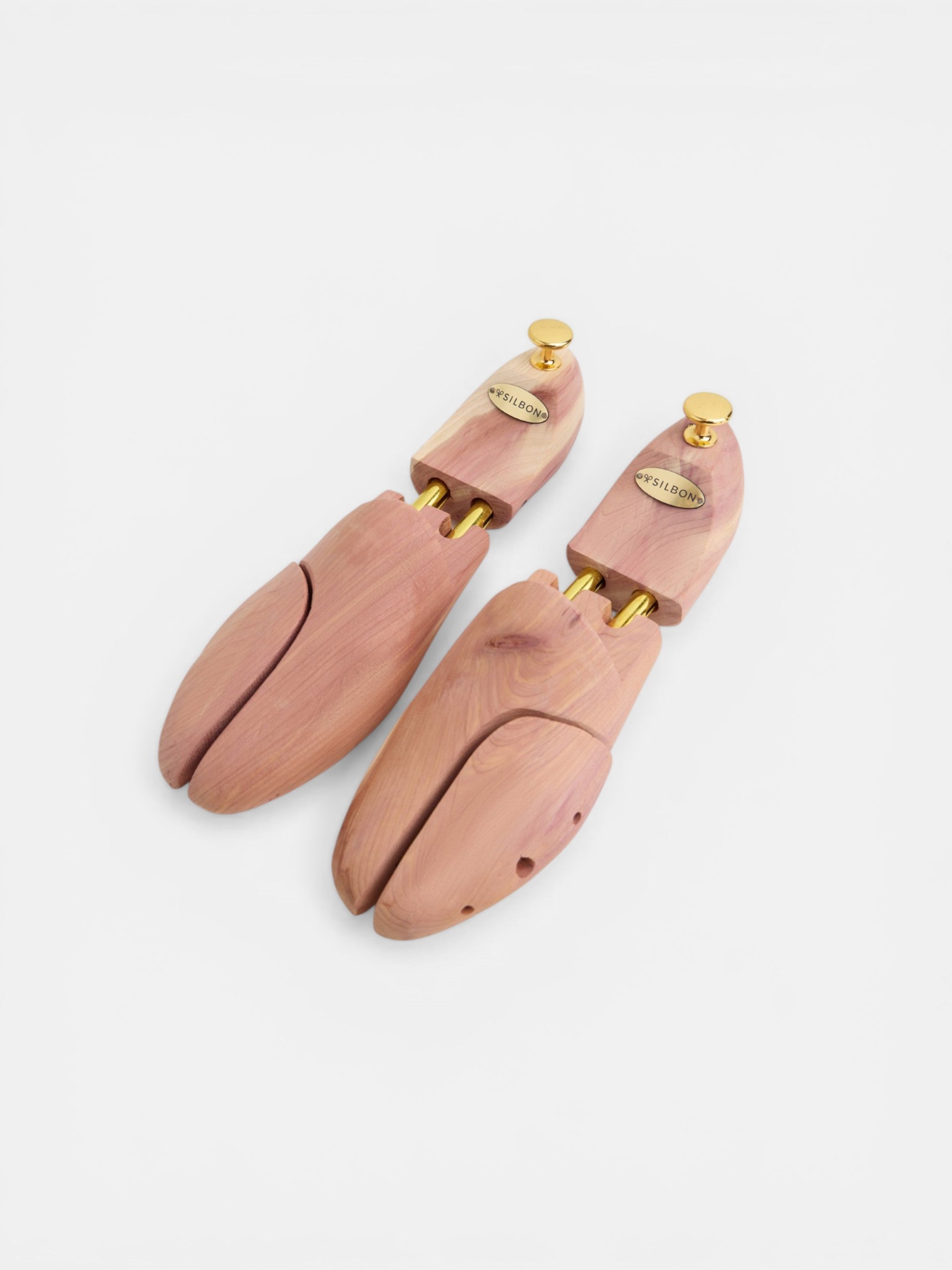 Silbon shoehorn