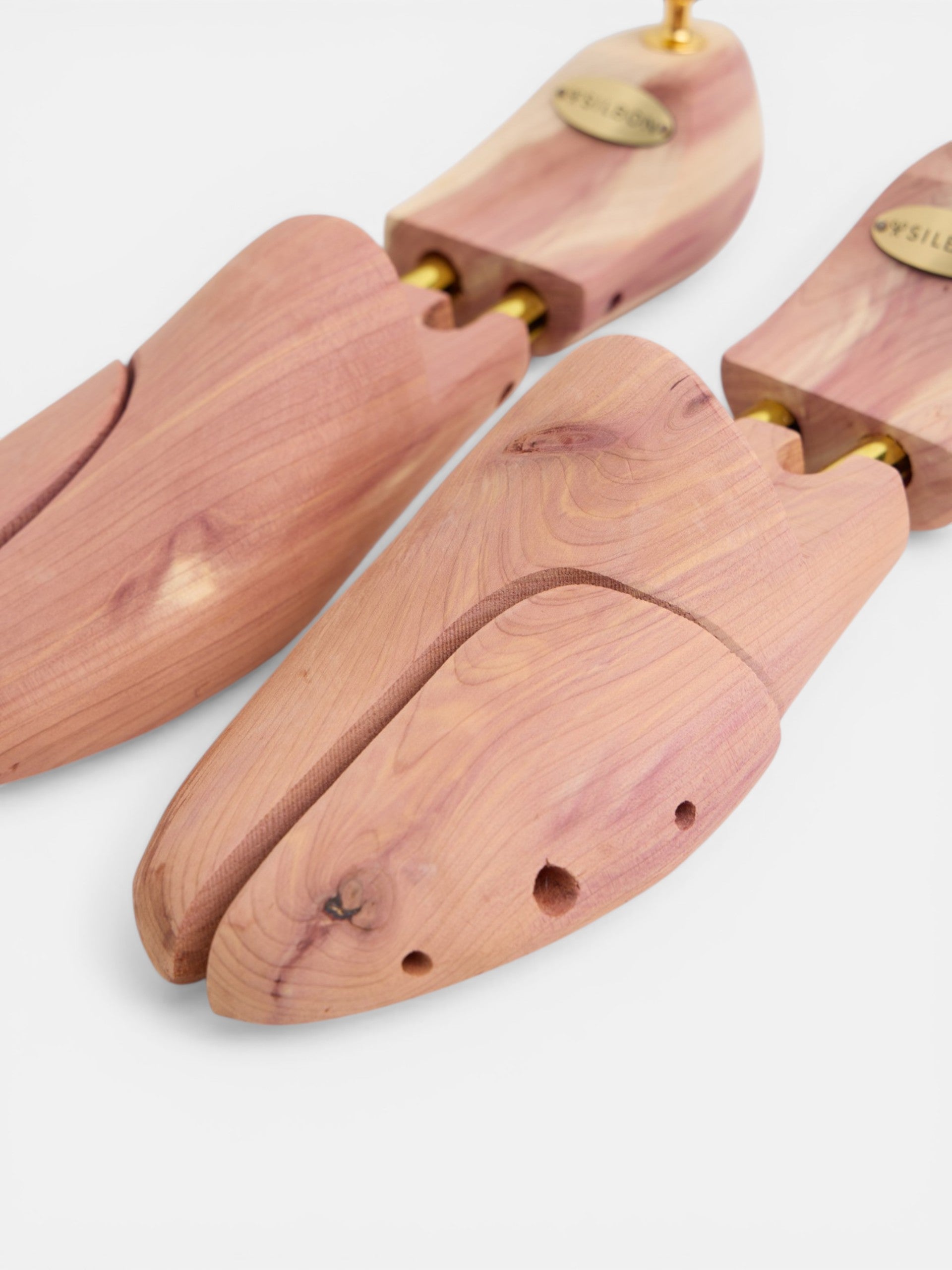 Silbon shoehorn