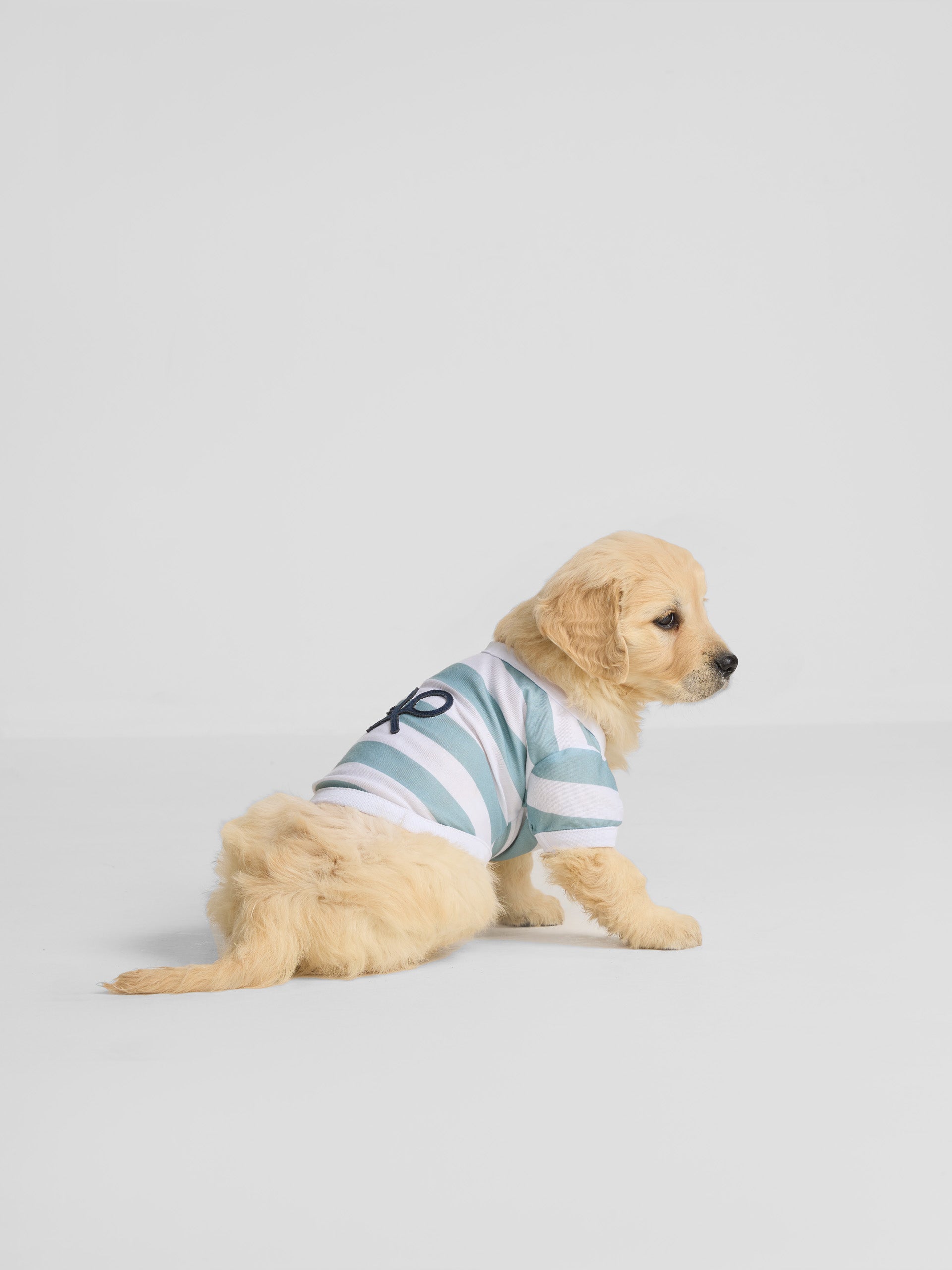 T-shirt animaux nautique vert