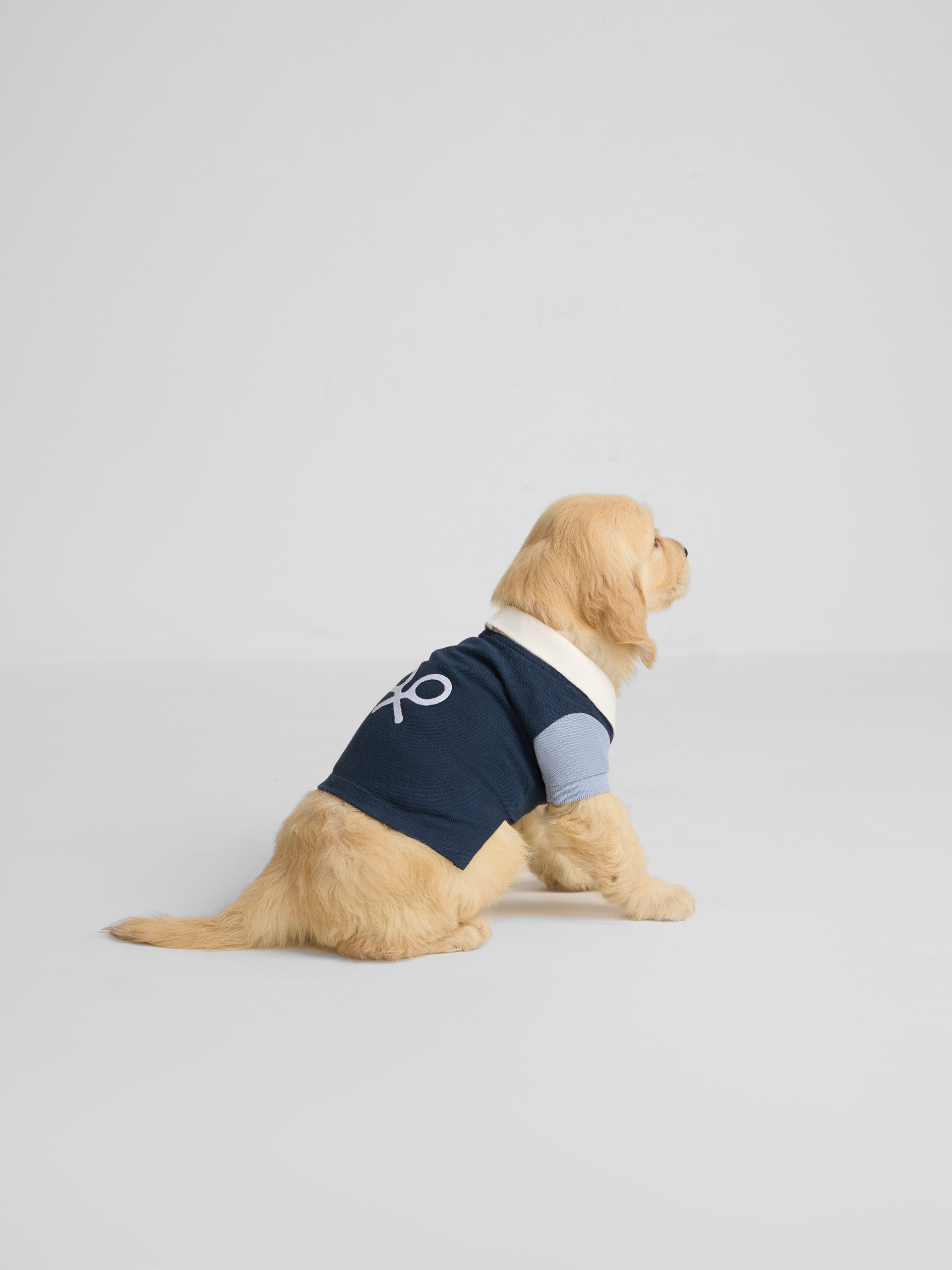Polo mascotas multicolor azul marino