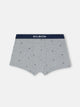 Grey rackets boxer