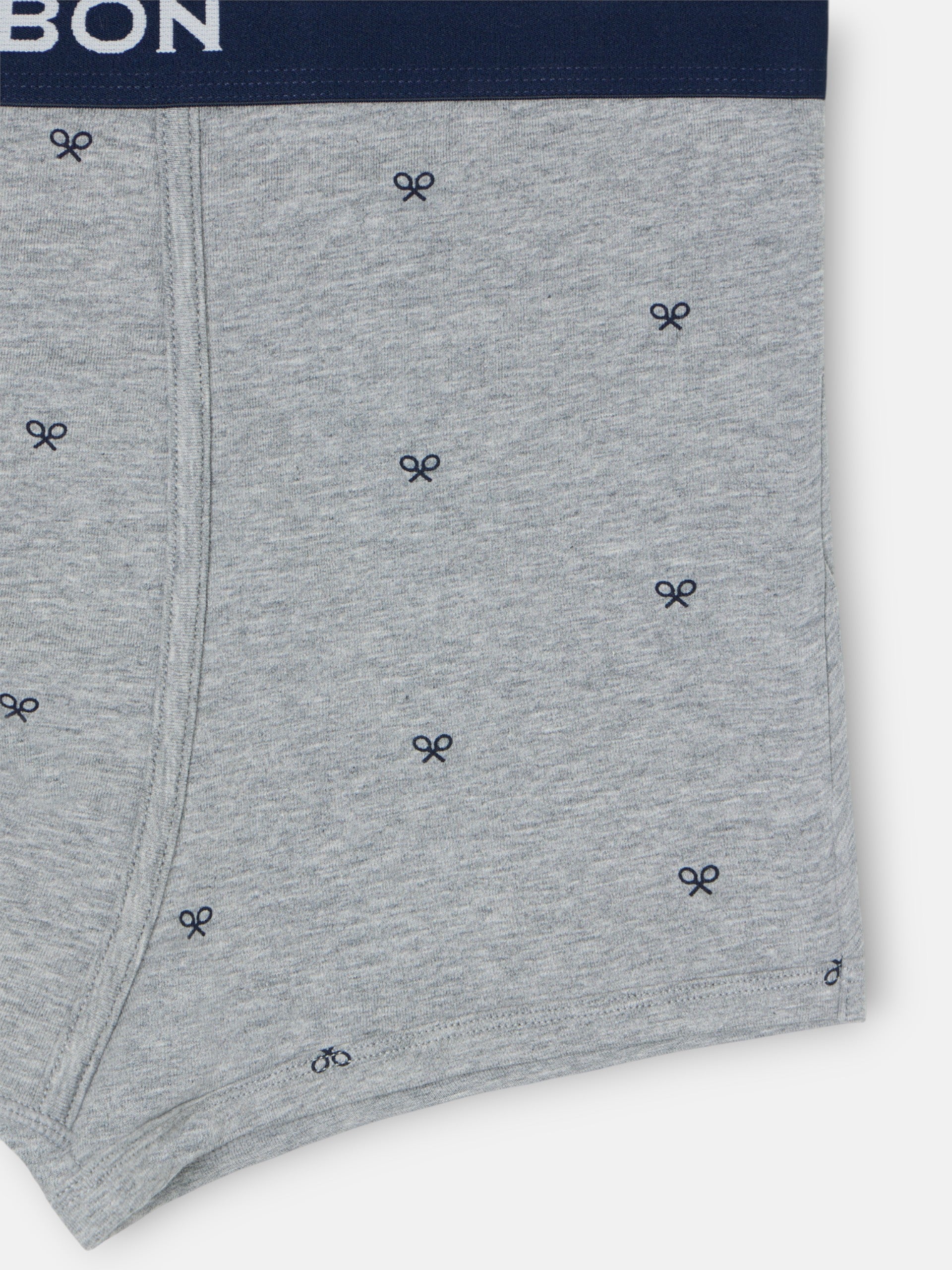 Grey rackets boxer