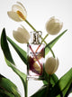 Perfume Silbon Mulher Rosa