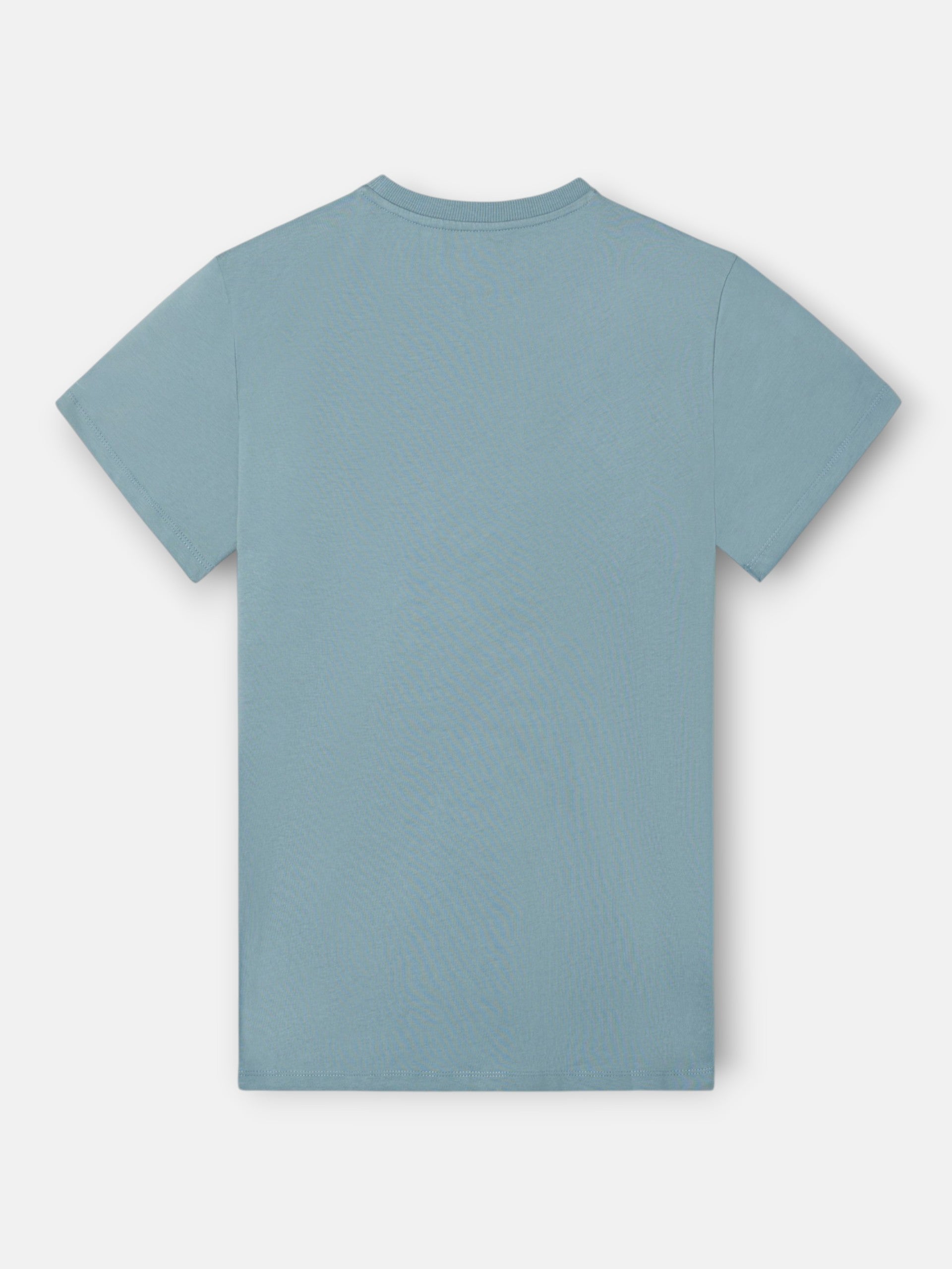 Camiseta clasica minilogo rizo petroleo
