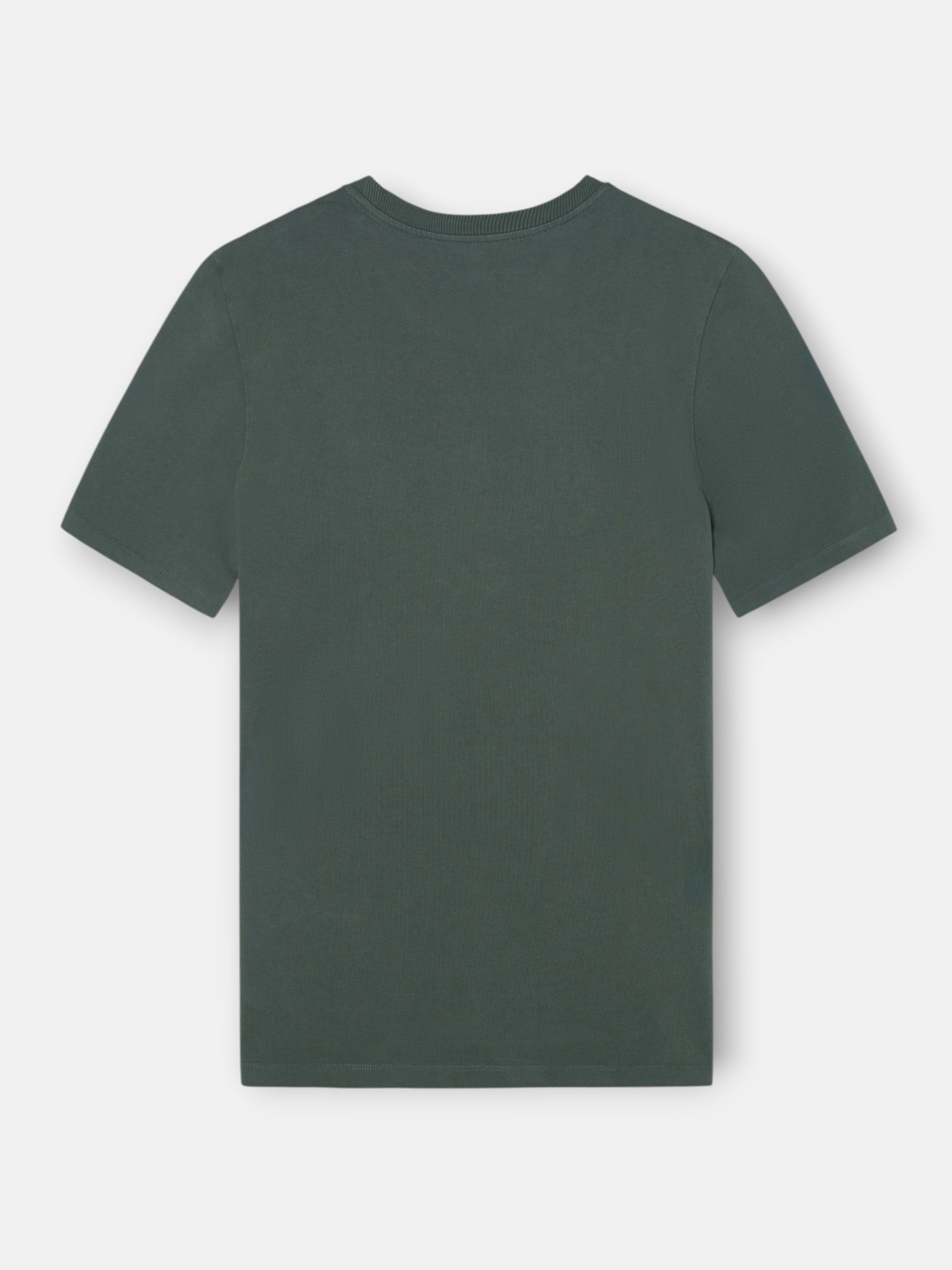 Camiseta silbon patch tono khaki