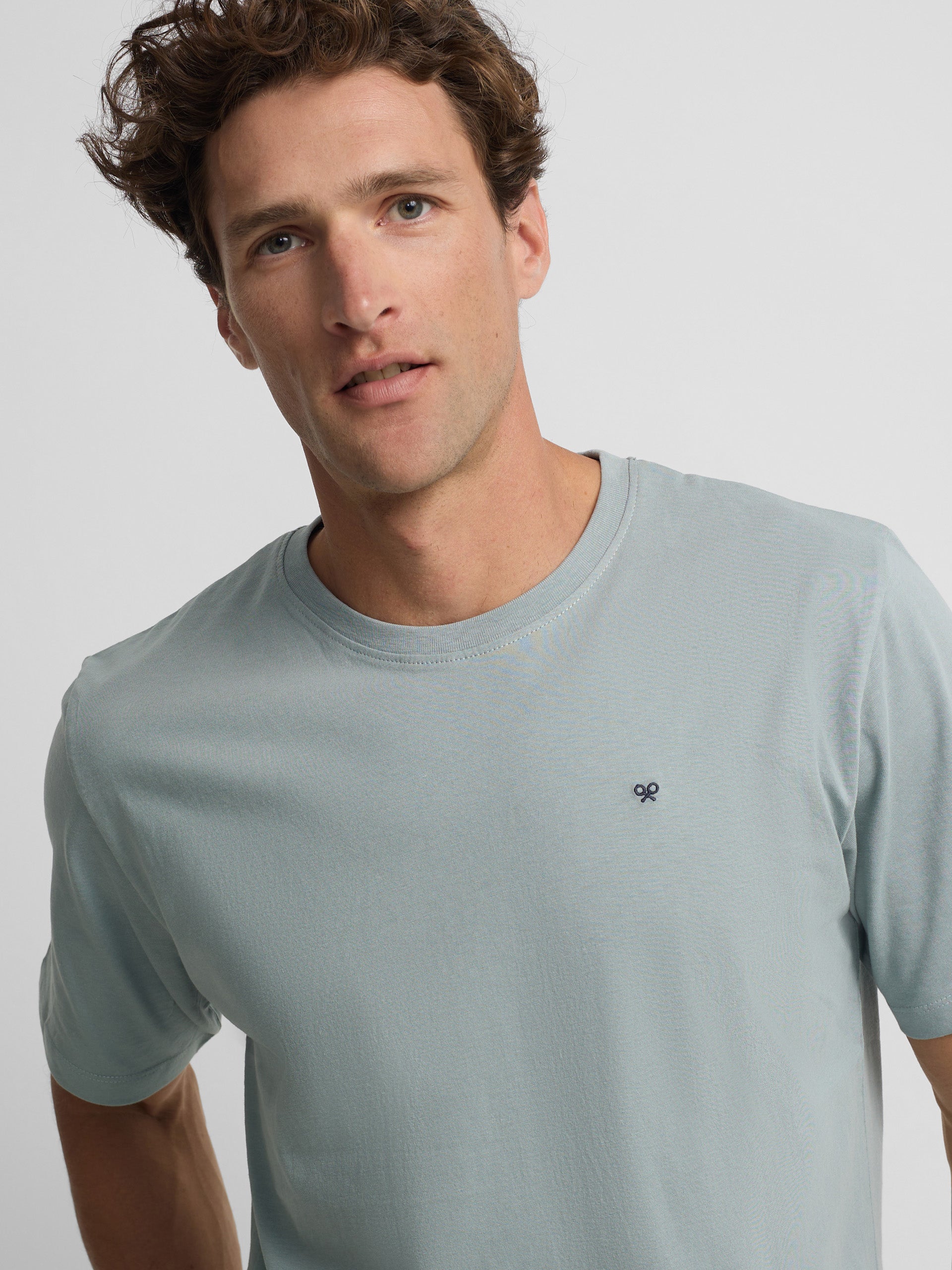 Camiseta minilogo verde gris