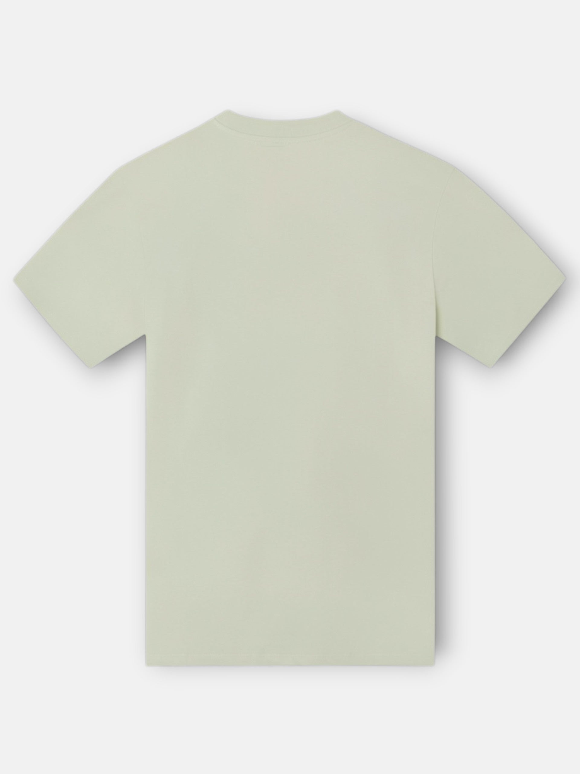 Relaxed fit t-shirt SLBN cross light green