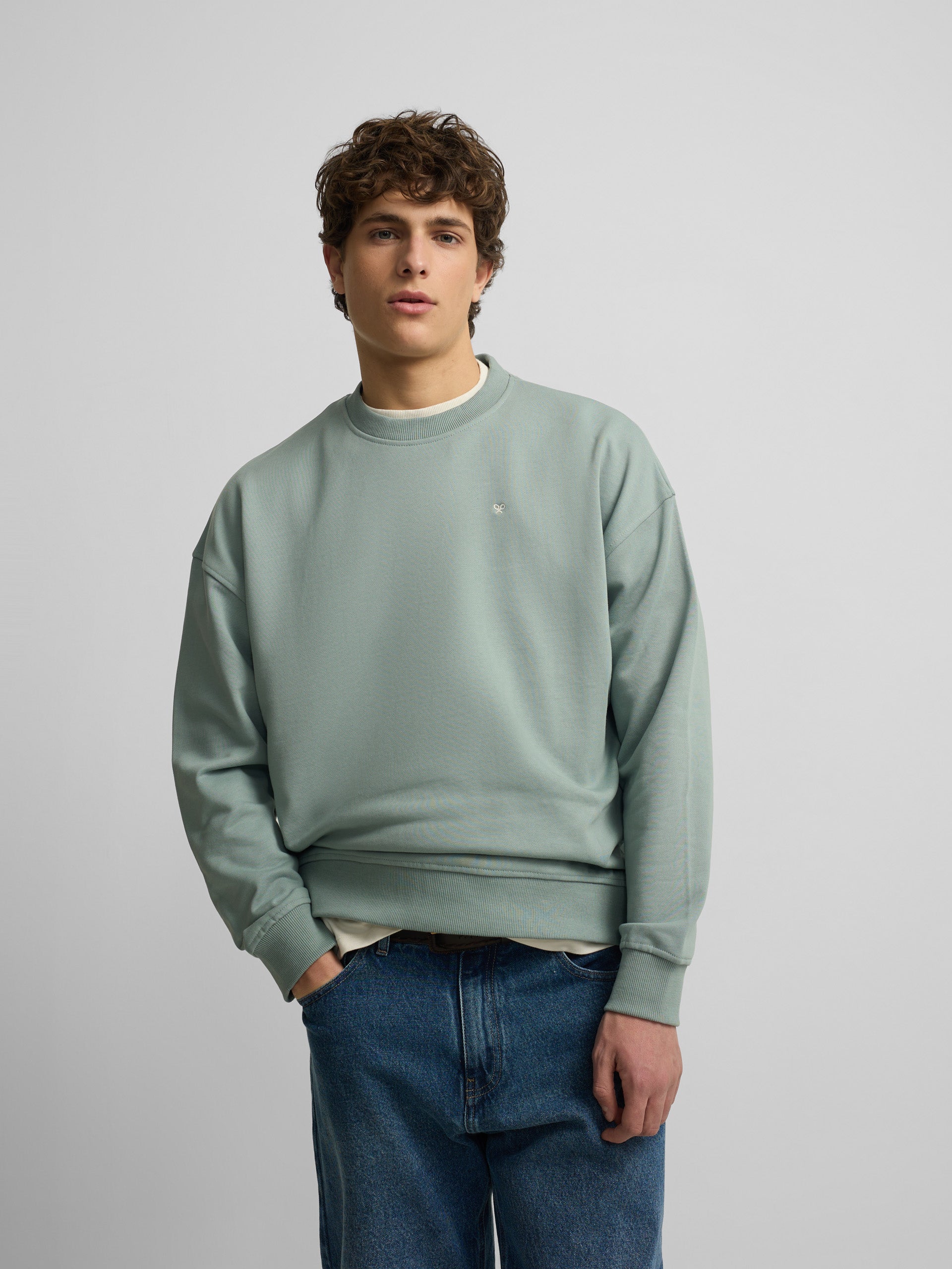 Relaxed fit sweatshirt plans green gray
