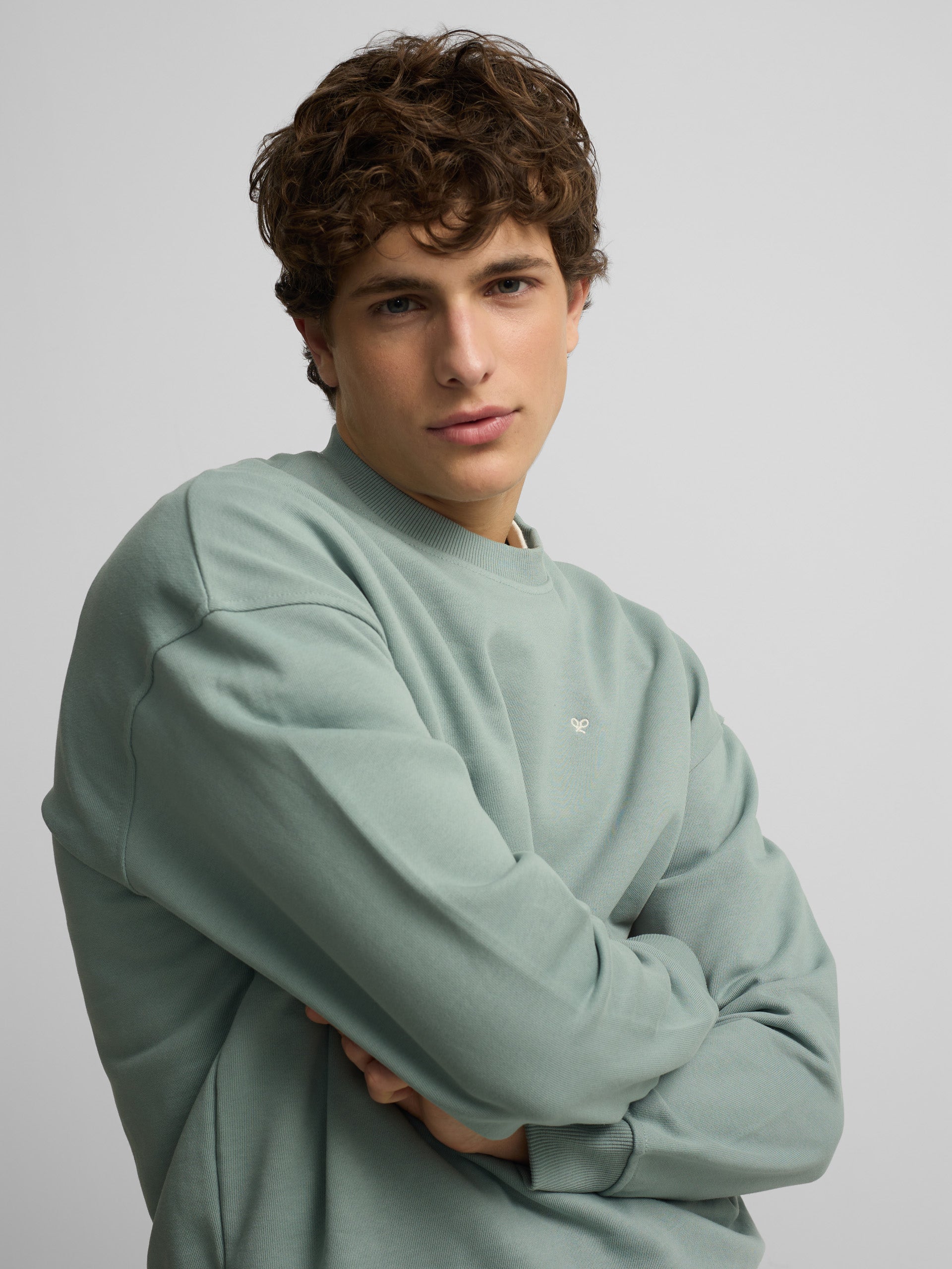 Relaxed fit sweatshirt plans green gray