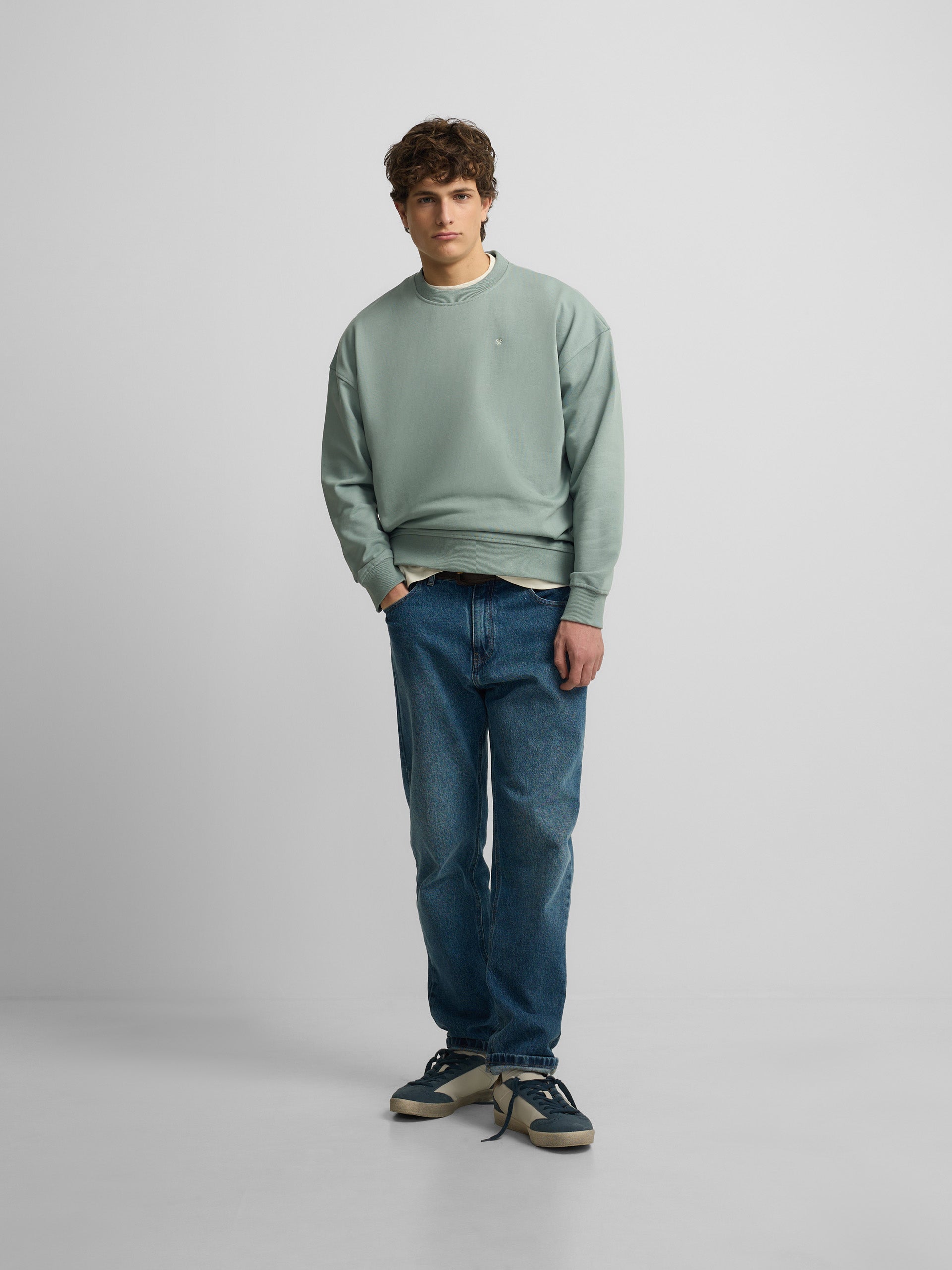 Relaxed fit sweatshirt plans green gray