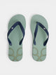 Chanclas SB verde