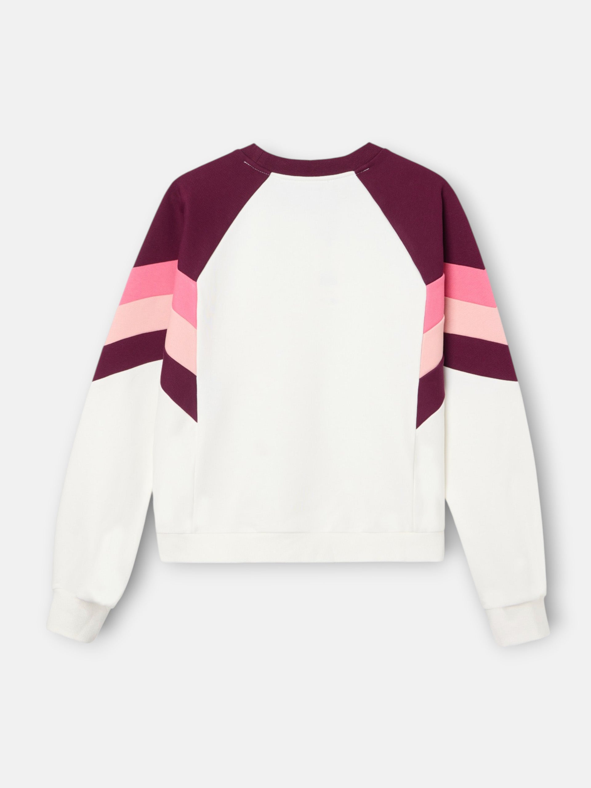 Women's tricolor sweatshirt in purple