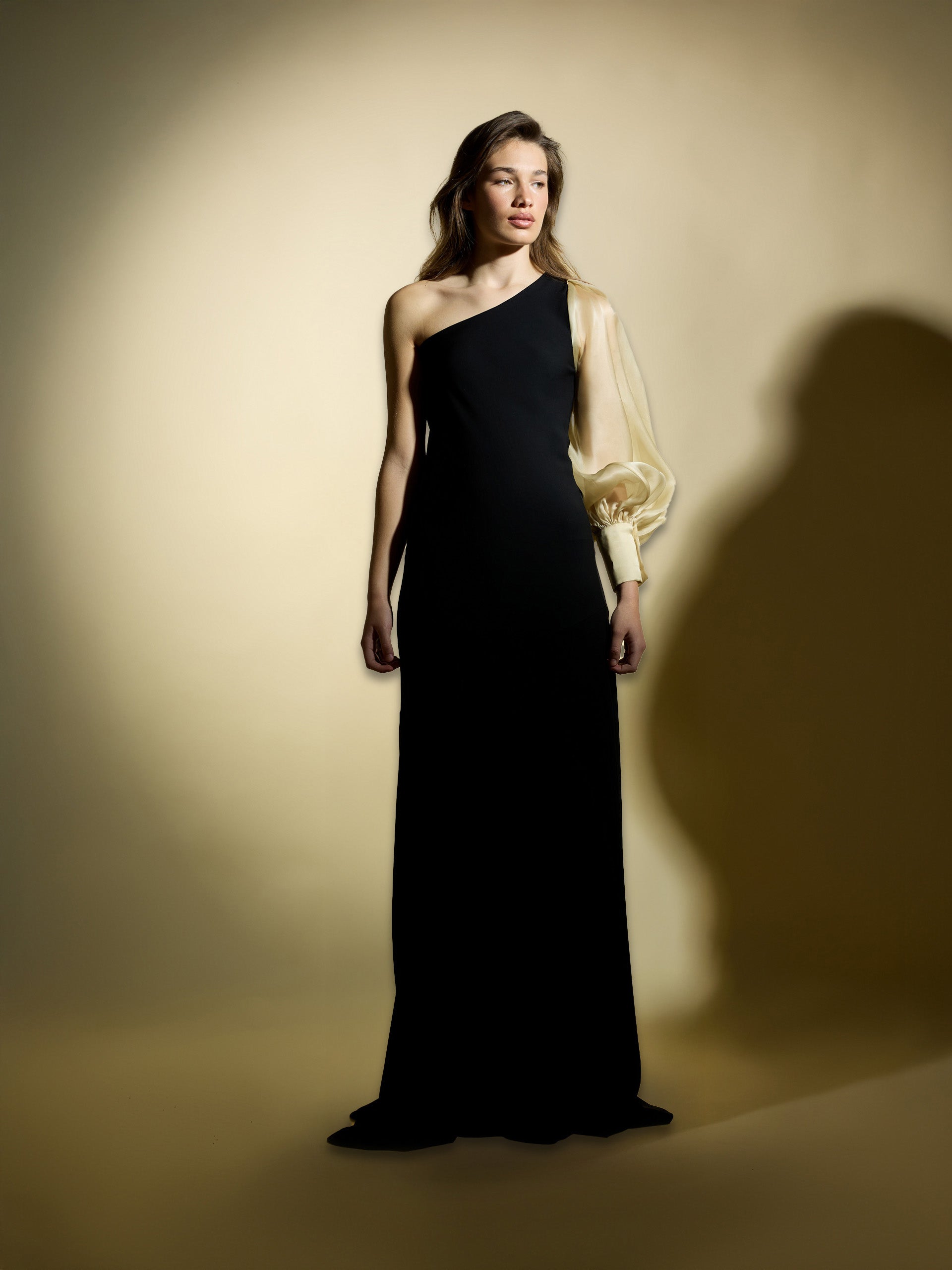 CaprilexSilbon dress with asymmetric organza sleeve