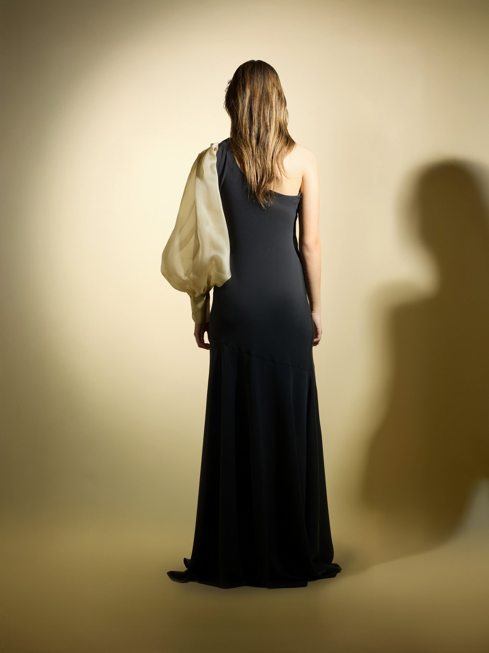 CaprilexSilbon dress with asymmetric organza sleeve