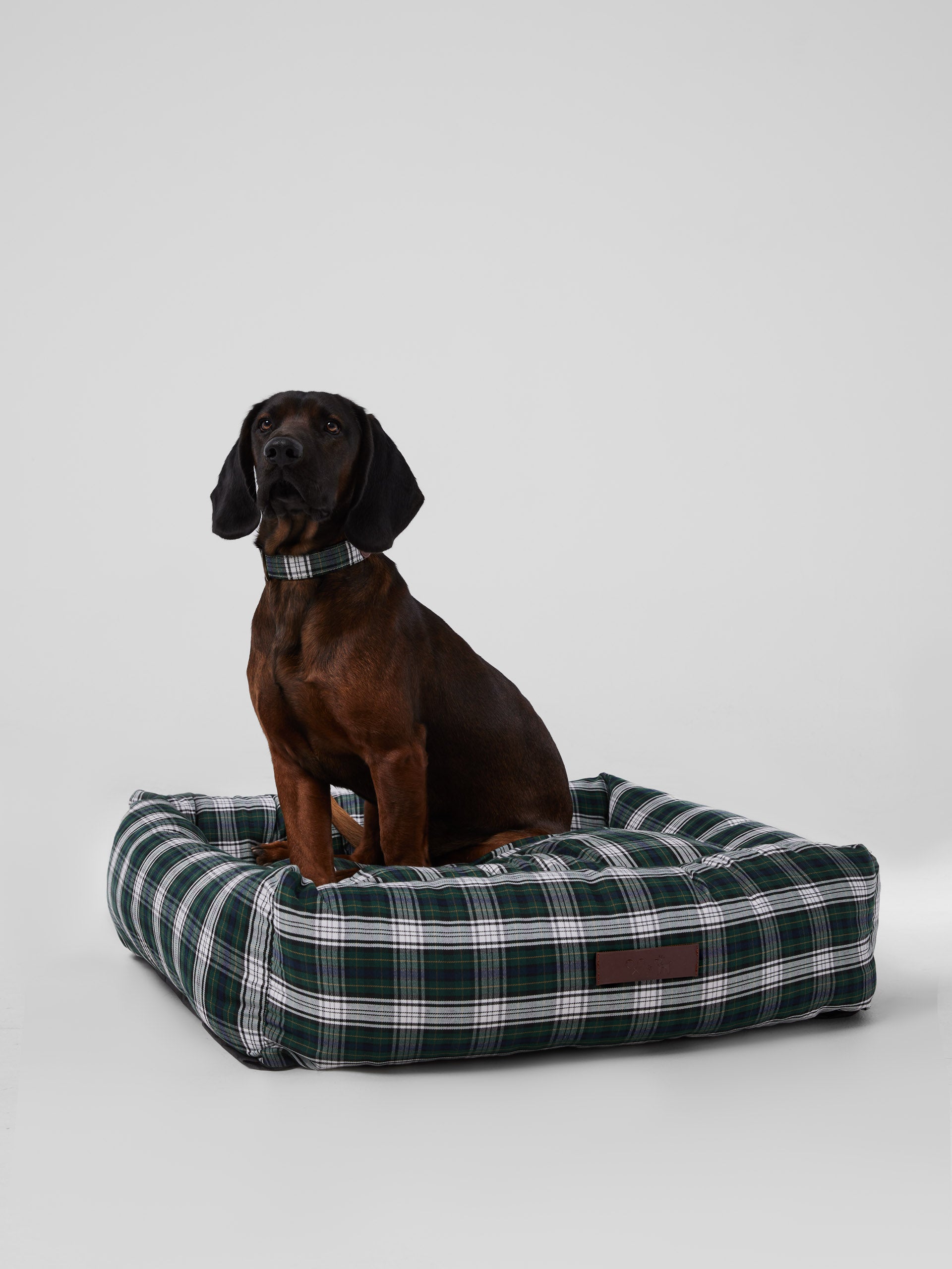 Cama grande perro SILBONxLADRANGAUCHO tartan