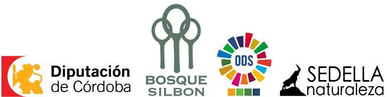 Silbon store