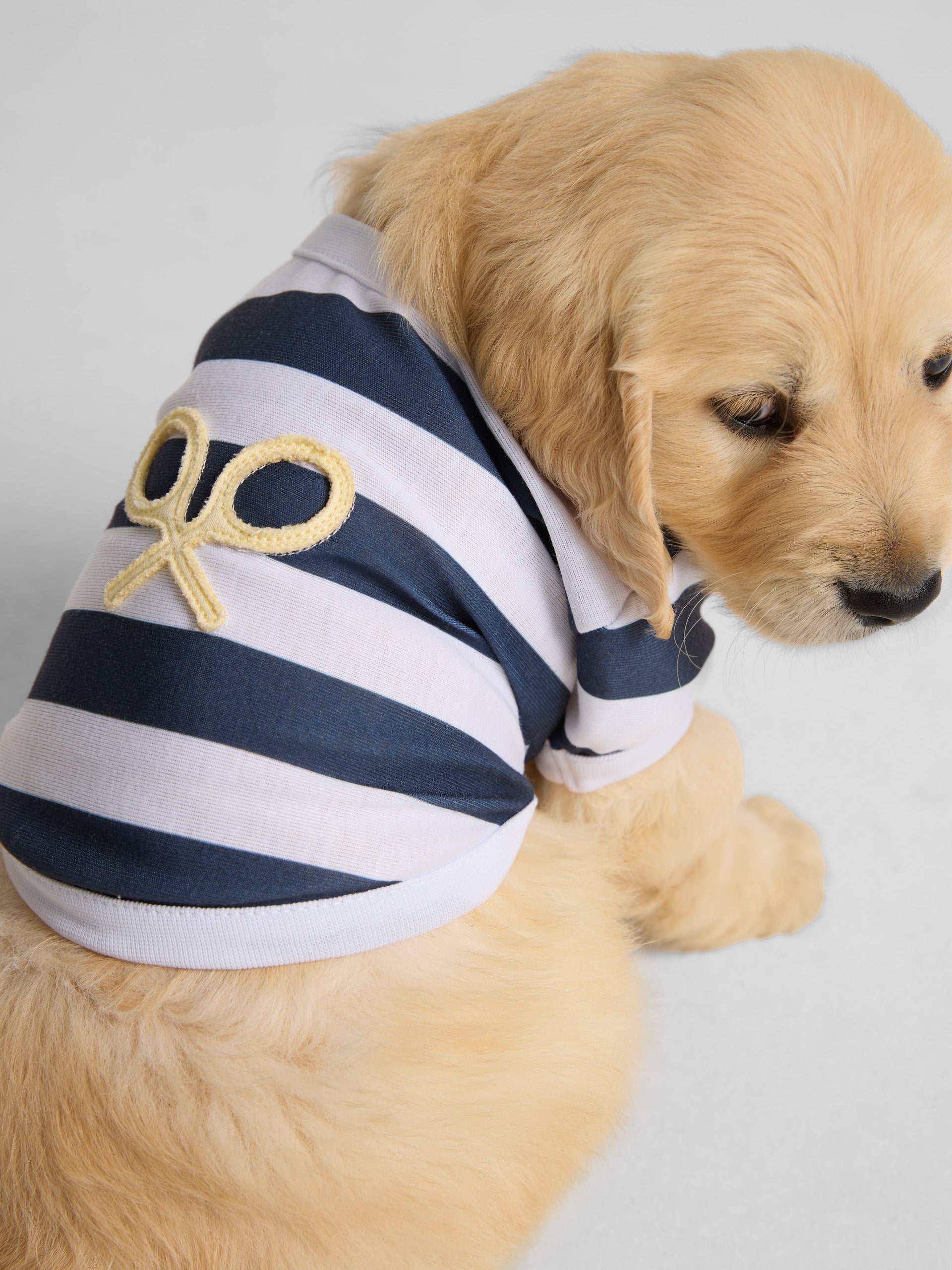 Camiseta mascotas nautica azul marino