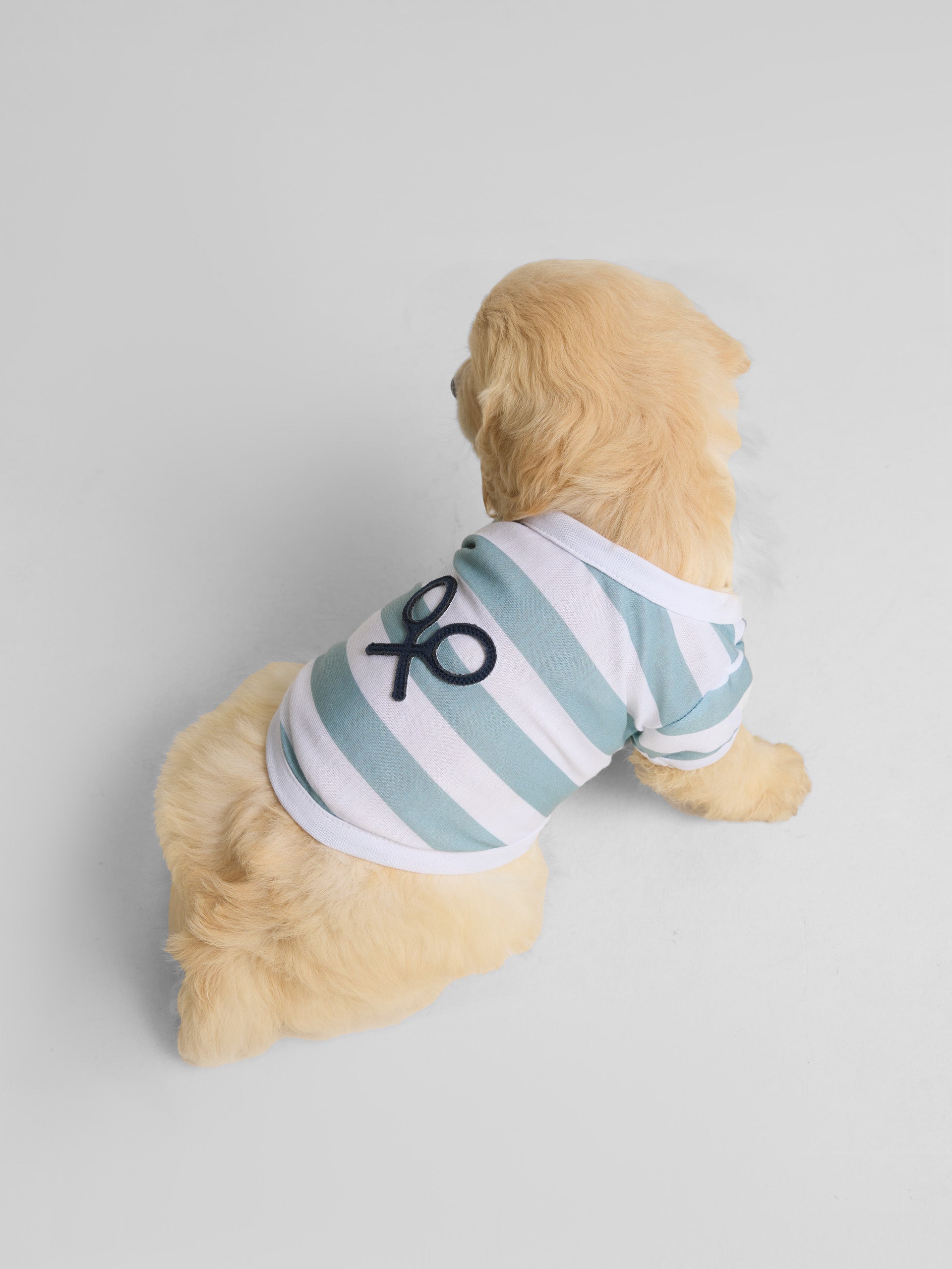 T-shirt animaux nautique vert
