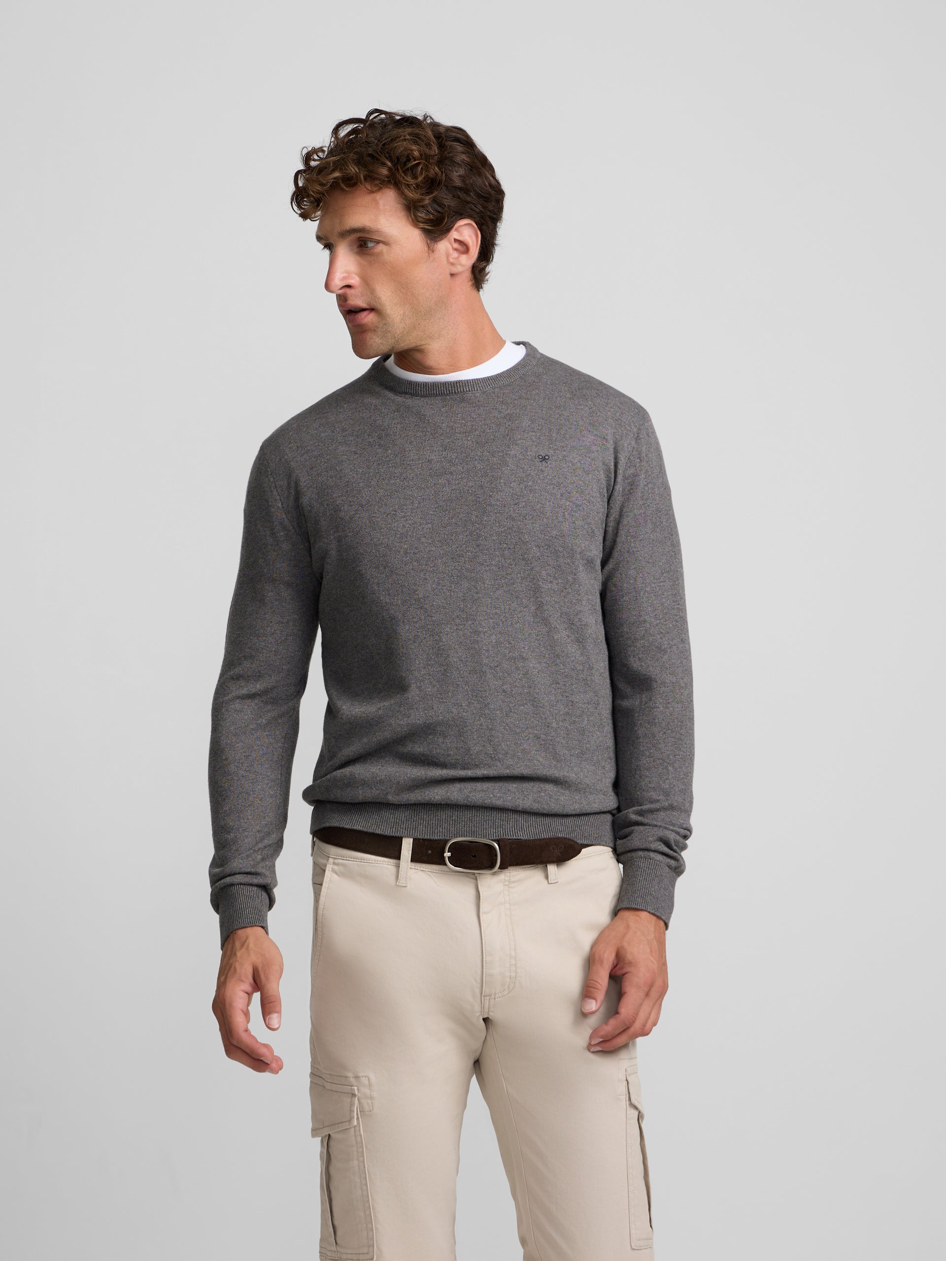 Pull col rond gris