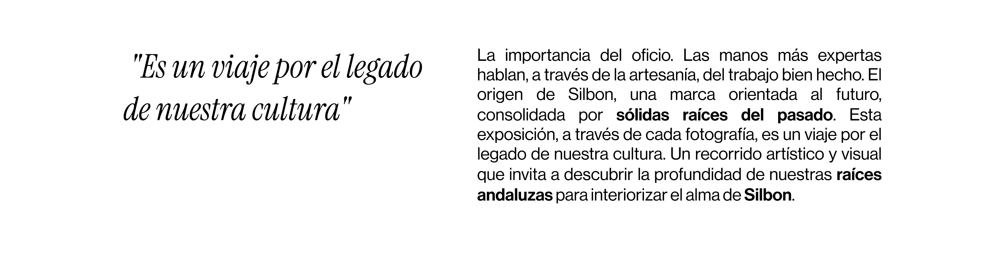 Silbon store