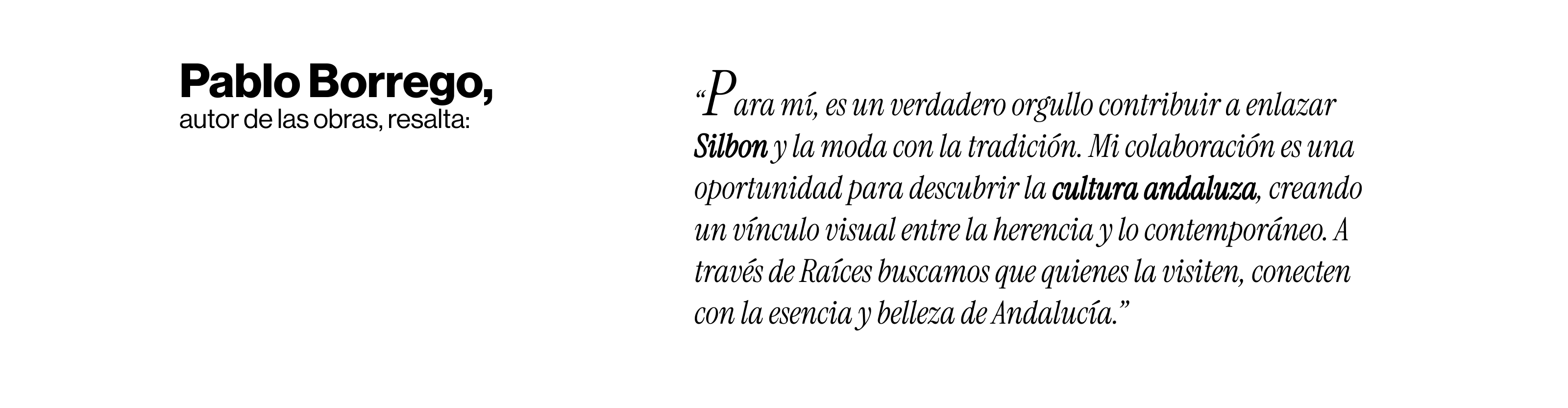 Silbon store