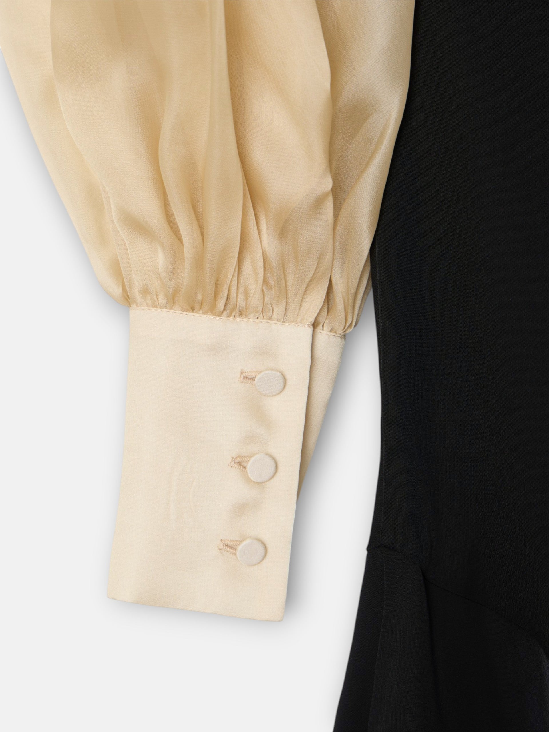 CaprilexSilbon dress with asymmetric organza sleeve