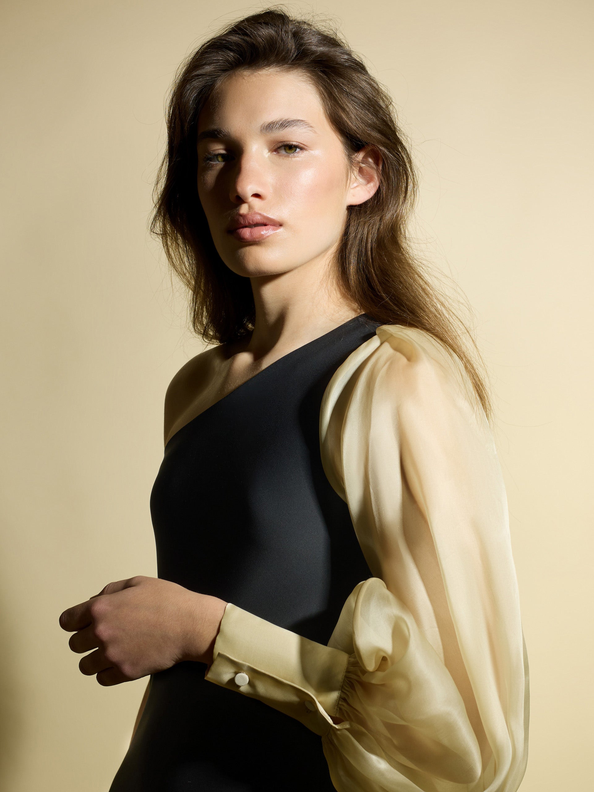 CaprilexSilbon dress with asymmetric organza sleeve